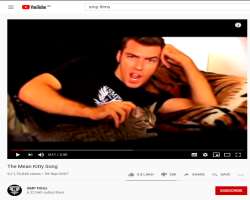 Williams attained fame and was popular after his most trending video named The Mean Kitty Song which was a huge success and was able to attract 90 mil